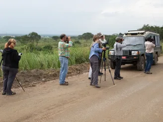 Top 10 Birding Guides in Africa 2025–2026