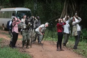 Uganda Birding Trips