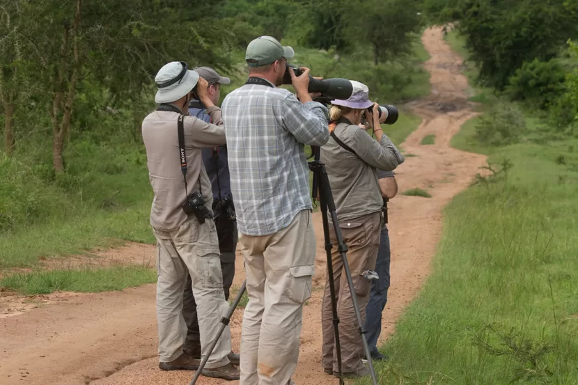 Uganda Birding Safaris Tips