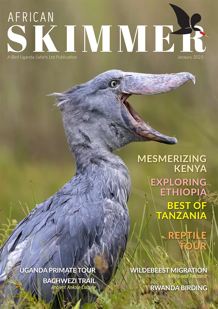 Uganda Birding Safari Magazine