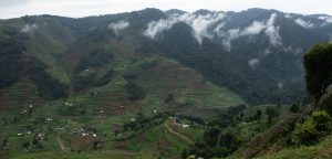 Bwindi Impenetrable National Park