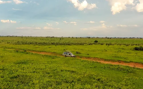 Tourists on a game drive in Murchison Falls National Park