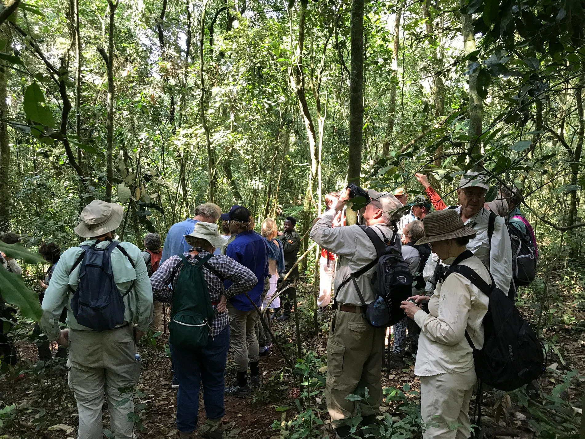 Uganda Travel Experience {{brizy_dc_image_alt imageSrc=