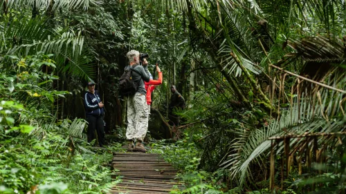 Tourists on a nature walk in Bwindi.