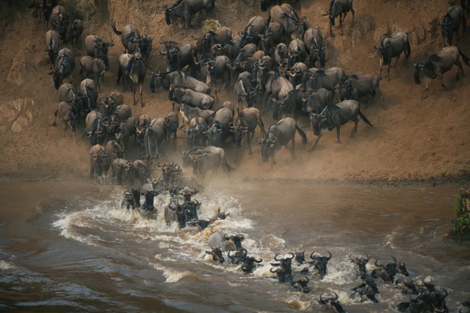 Great Migration Safari Kenya Tanzania