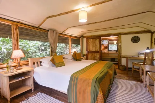 Buhoma Lodge suites set within the Bwindi Forest