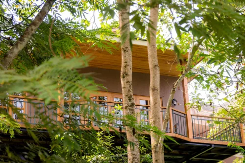 Chimpundu Lodge is set in the middle of Kibale Forest - away from the bustling urban areas