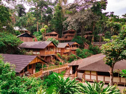 The Buhoma Lodge setting