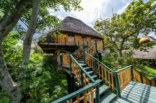 The journey upstairs has a beautiful view_ Kyaninga Lodge