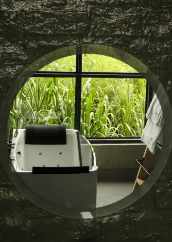 Where the forest breathes — Kiho Gorilla Lodge in Bwindi lives and breathes ecofriendliness.