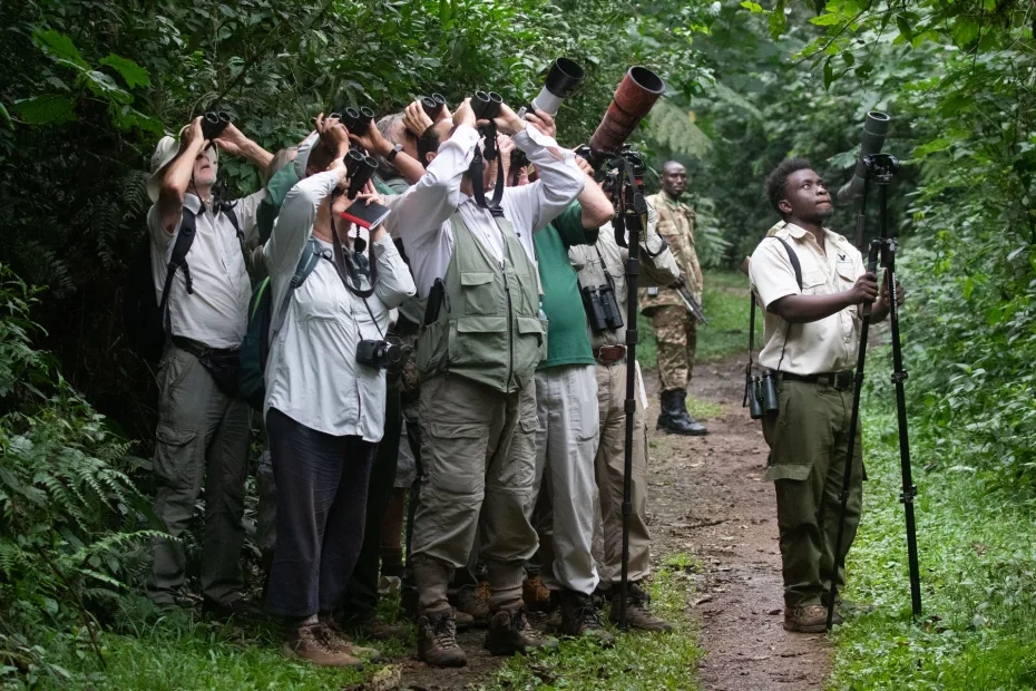 Best Birding Guides in Uganda