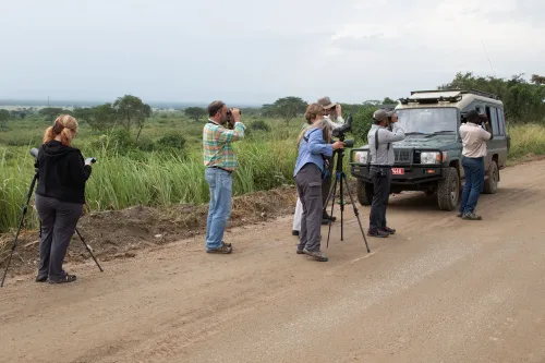 Top 10 Birding Guides in Africa 2025–2026
