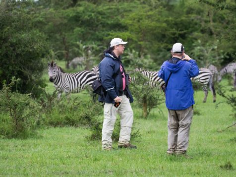 Birding in Uganda