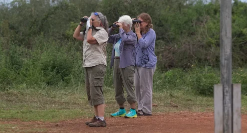 Uganda Birding Safaris